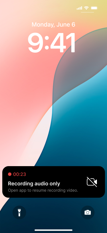 audio only.png