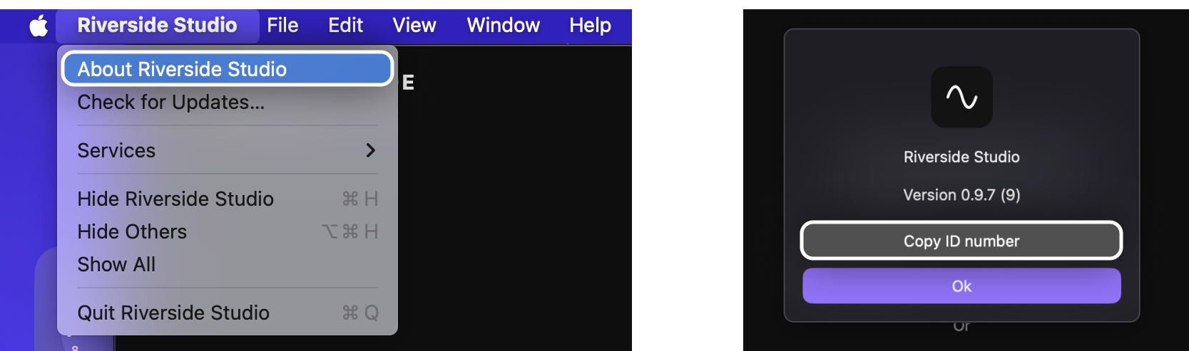 Copy_app-ID-number_macos.png