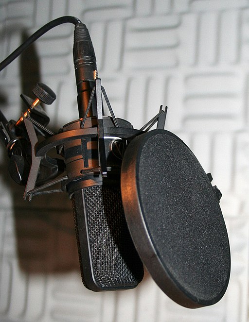 Studio_microphone_with_pop-shield_crop.jpg