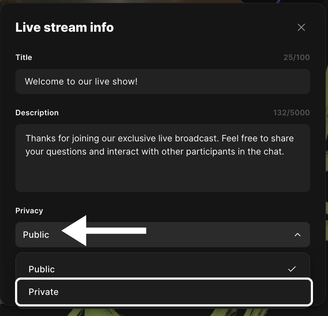 Live stream Set YouTube privacy settings_230726.png